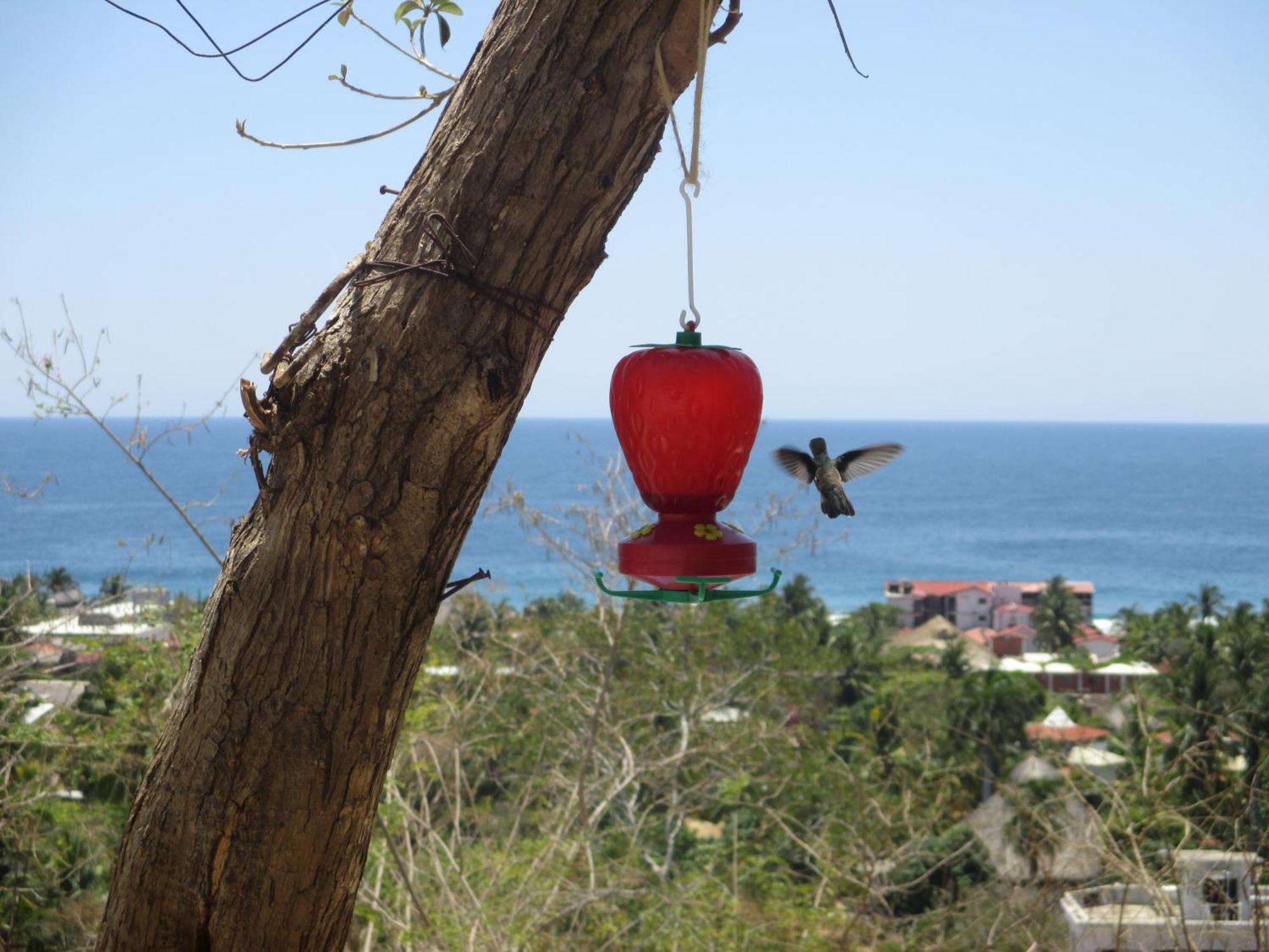 Bed and Breakfast Casa Biulu Zipolite Exteriér fotografie